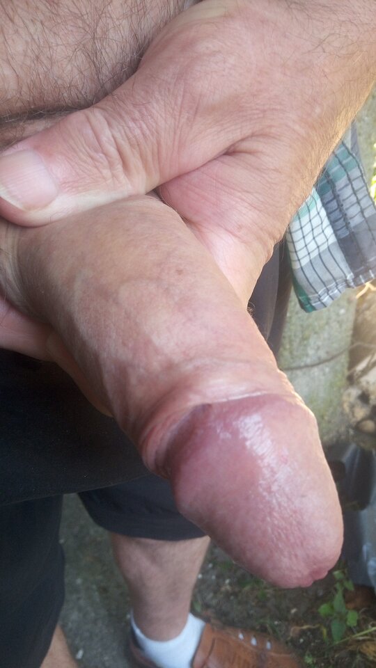 IMG-20240908-WA0008.jpeg - psotnymirek