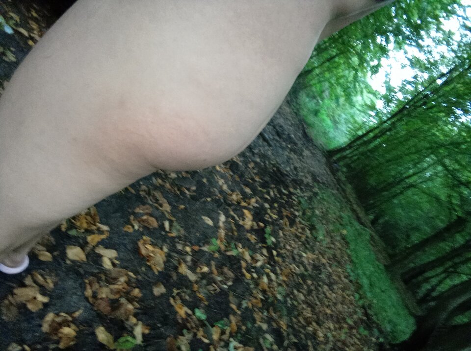 IMG_20240910_181737.jpg - xxx121