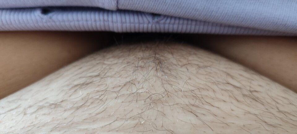 1000009930.jpg - gregor31