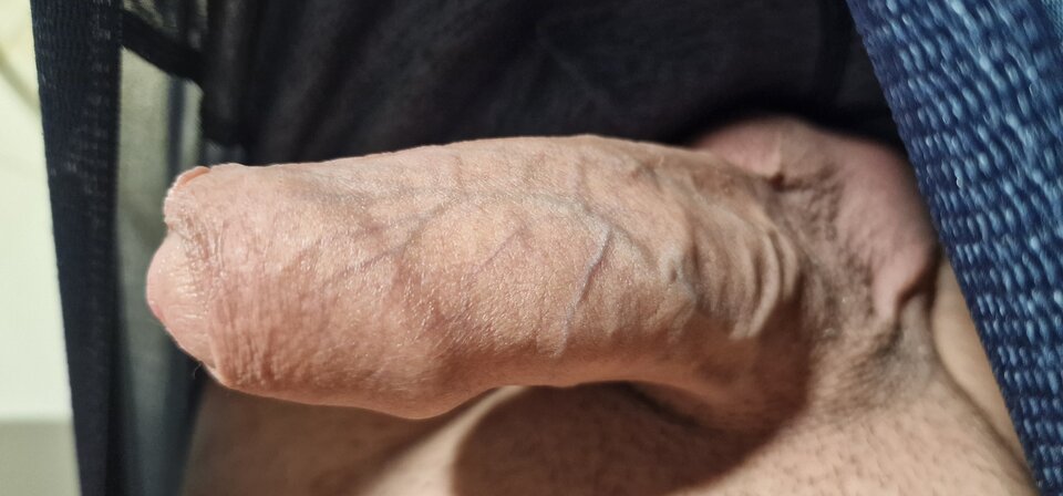 17260238147722763465198726497650.jpg - robin266