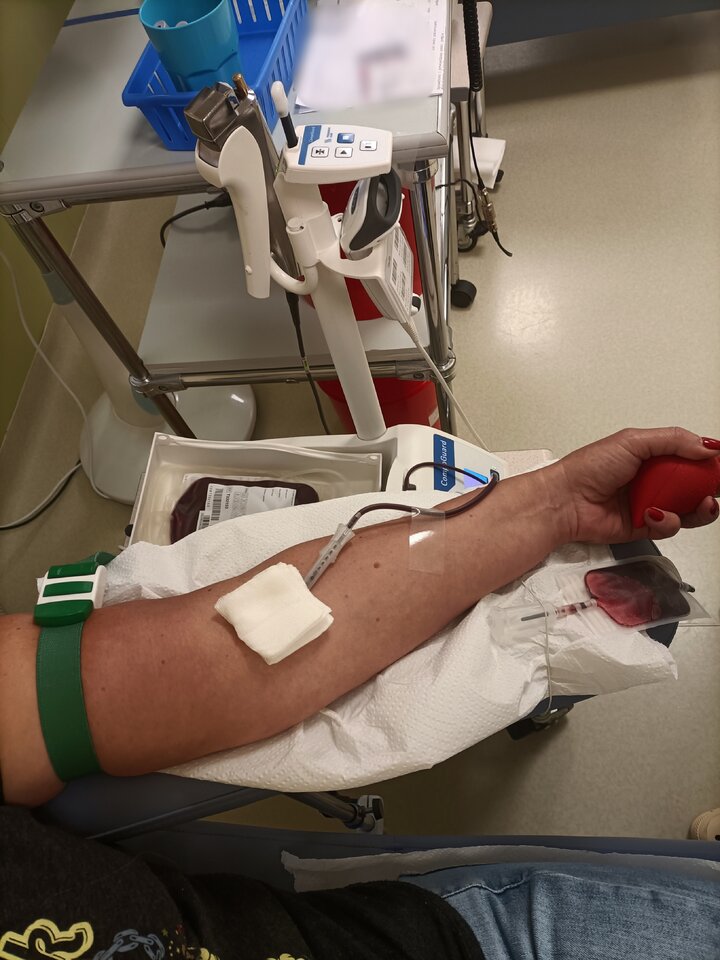 IMG_20240911_105325.jpg - LadyAgnesvpsina