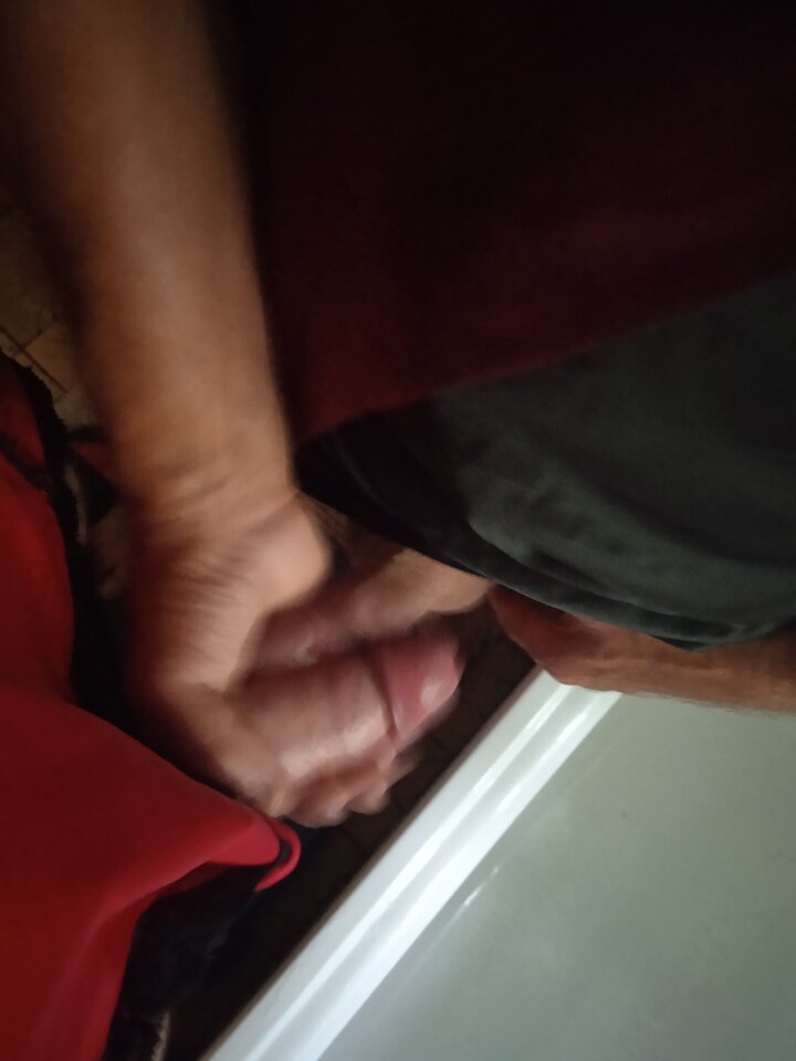 IMG_20240821_103221.jpg - sandra661