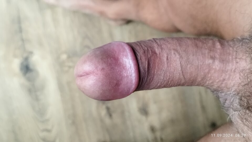 IMG_20240911_082956.jpg - Borsuczki1970