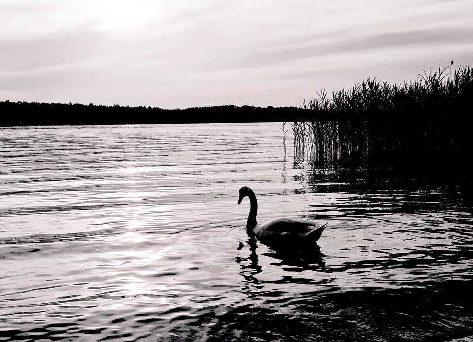 20240609_192004.jpg - Ciekawiswiata555