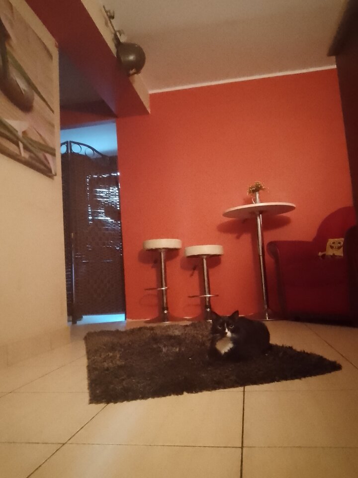 IMG_20240905_162523_023.jpg - Ina69