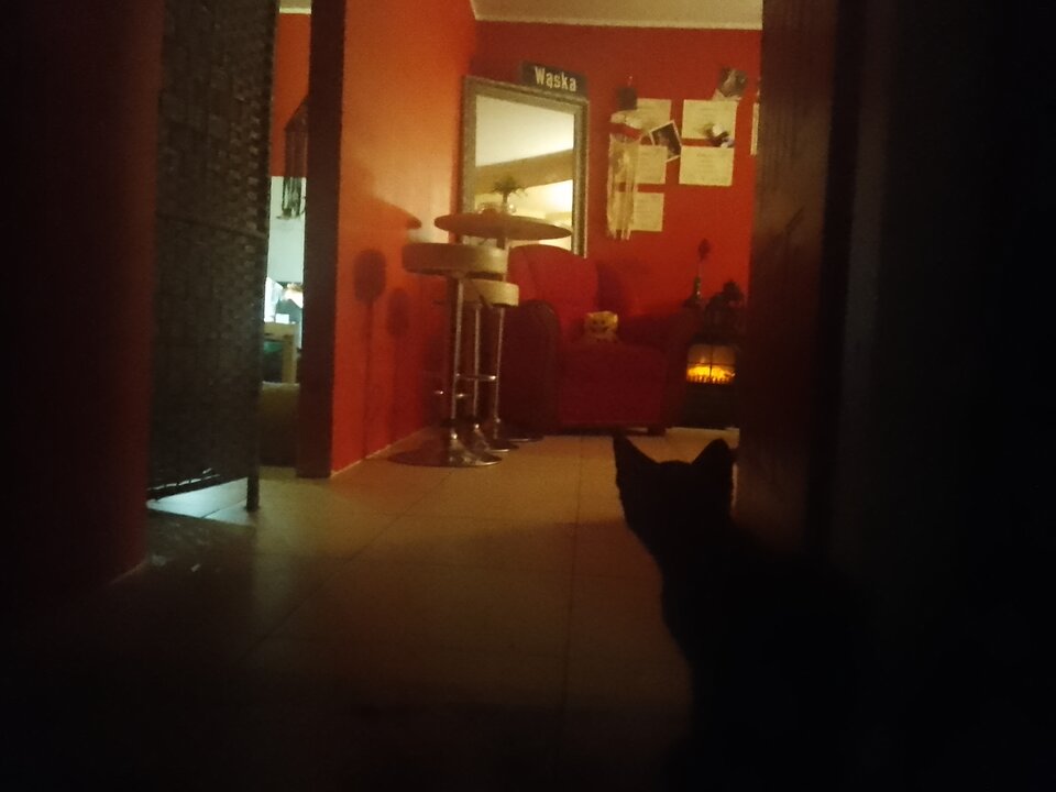 IMG_20240907_221328_434.jpg - Ina69