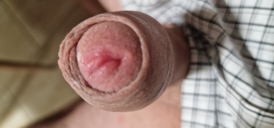 17261101510066971981237624935044.jpg - robin266