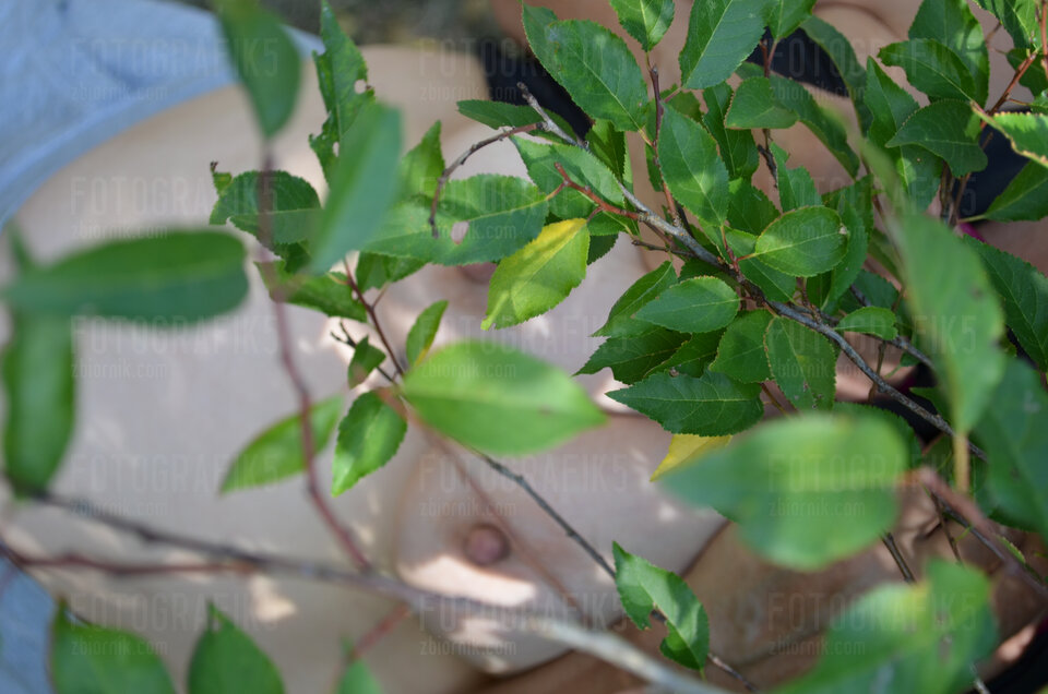 DSC_2695.JPG - fotografik5