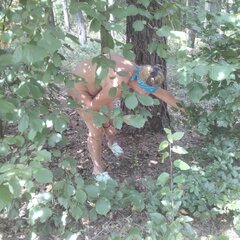 IMG_20240818_122301.jpg