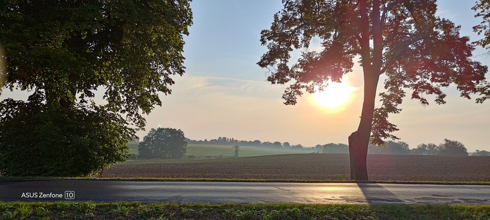 Poranek - Maciek1182