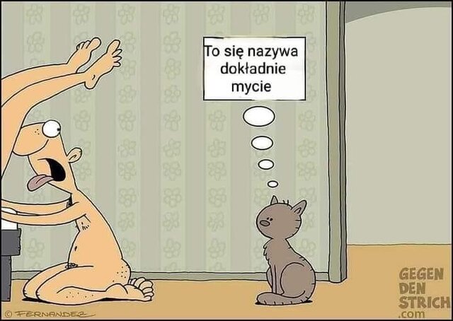 IMG_9963.jpeg - kingcrimson