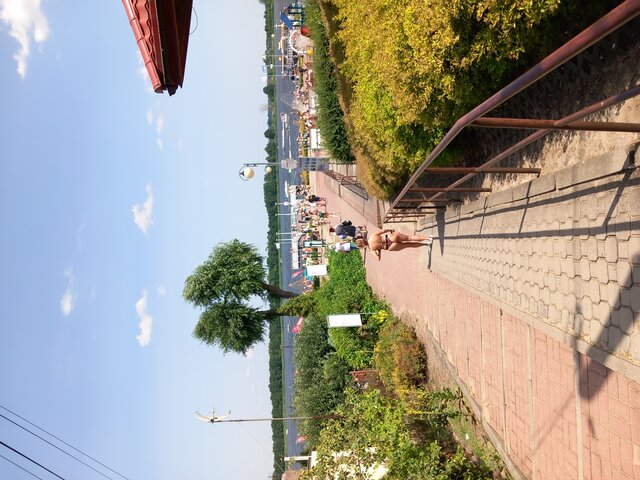 Stwardnialy_Twardziel