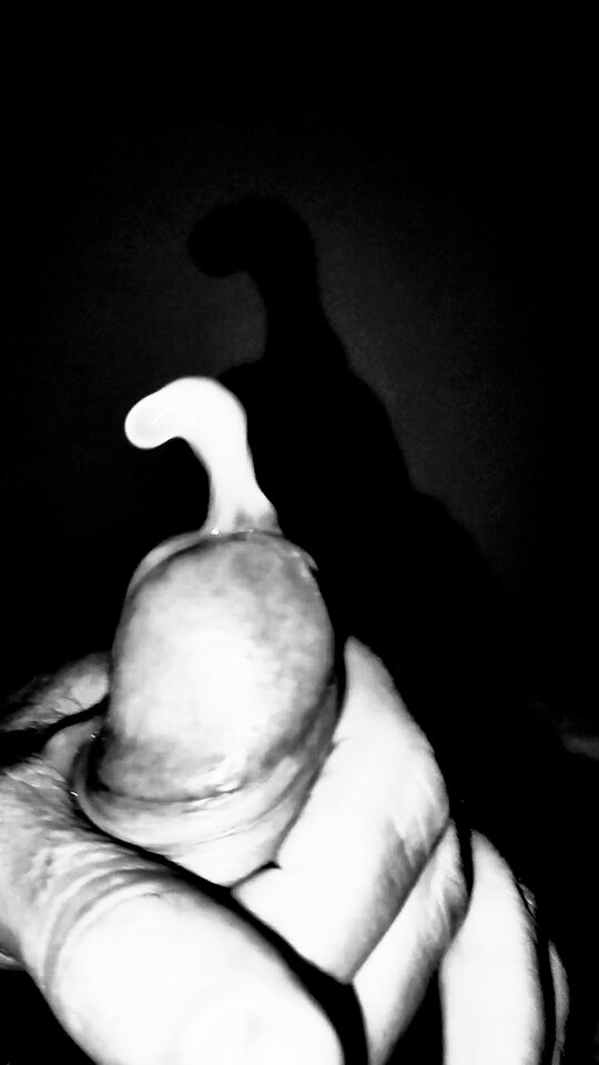 IMG_20240913_062607.jpg - vorenus79