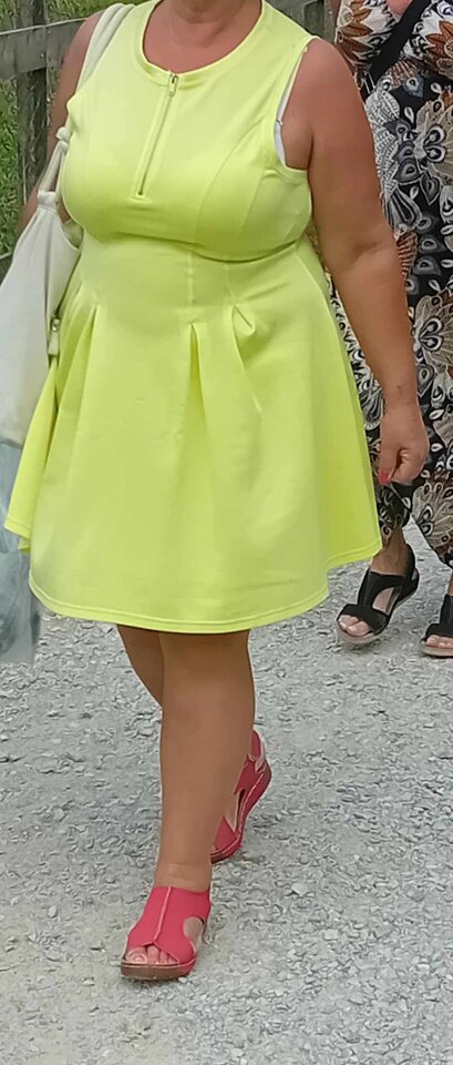 IMG_20240913_073008.jpg - Kolorowyptak1