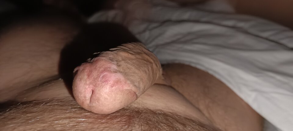 1000022607.jpg - bi79bi