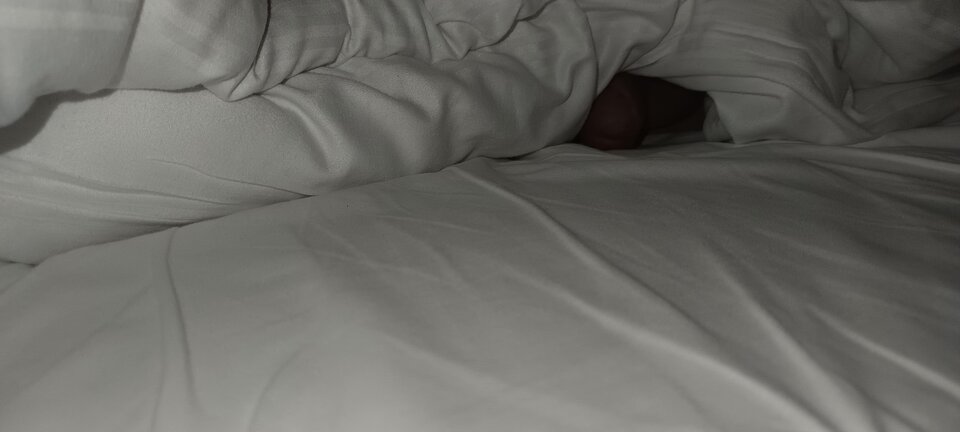 1000022606.jpg - bi79bi