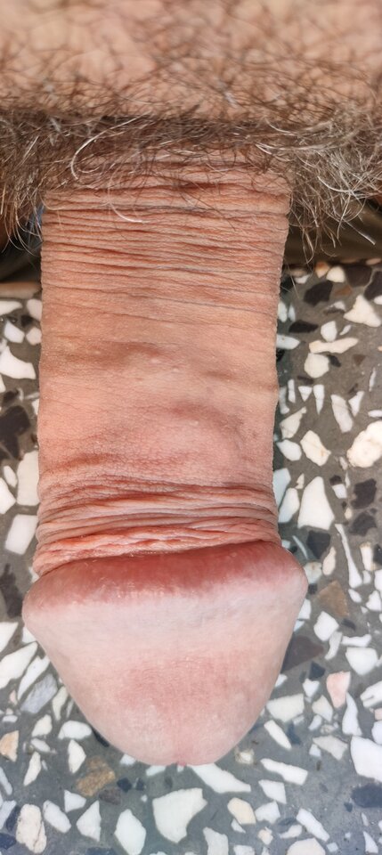 1000022378.jpg - szatan24