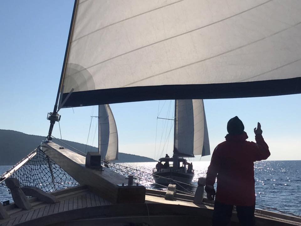 16195634_10153959516266841_1511800341809054866_n.jpg - Priyapos