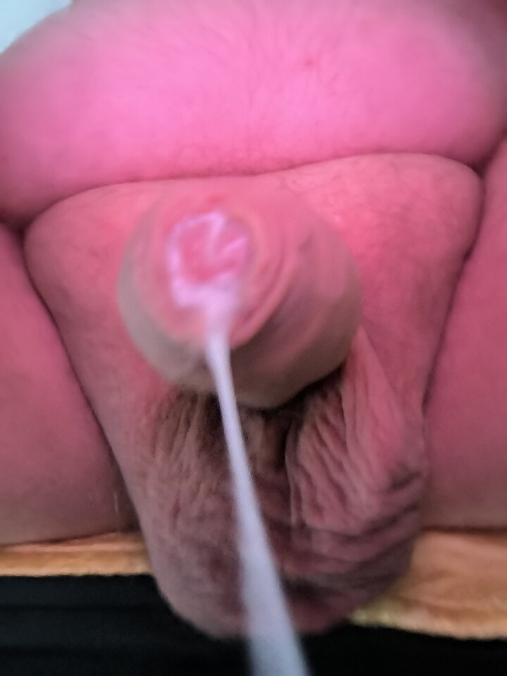 IMG_20240913_150545.jpg - jajaReno