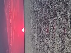 IMG_20240525_205418755.jpg