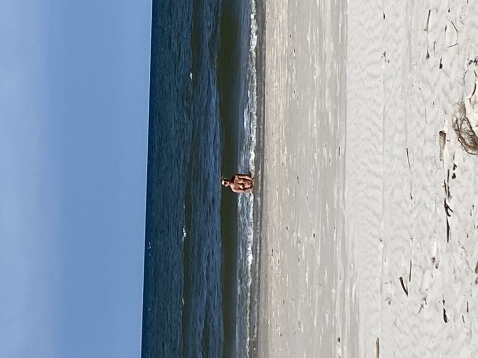 IMG_3413.jpeg - Para5351