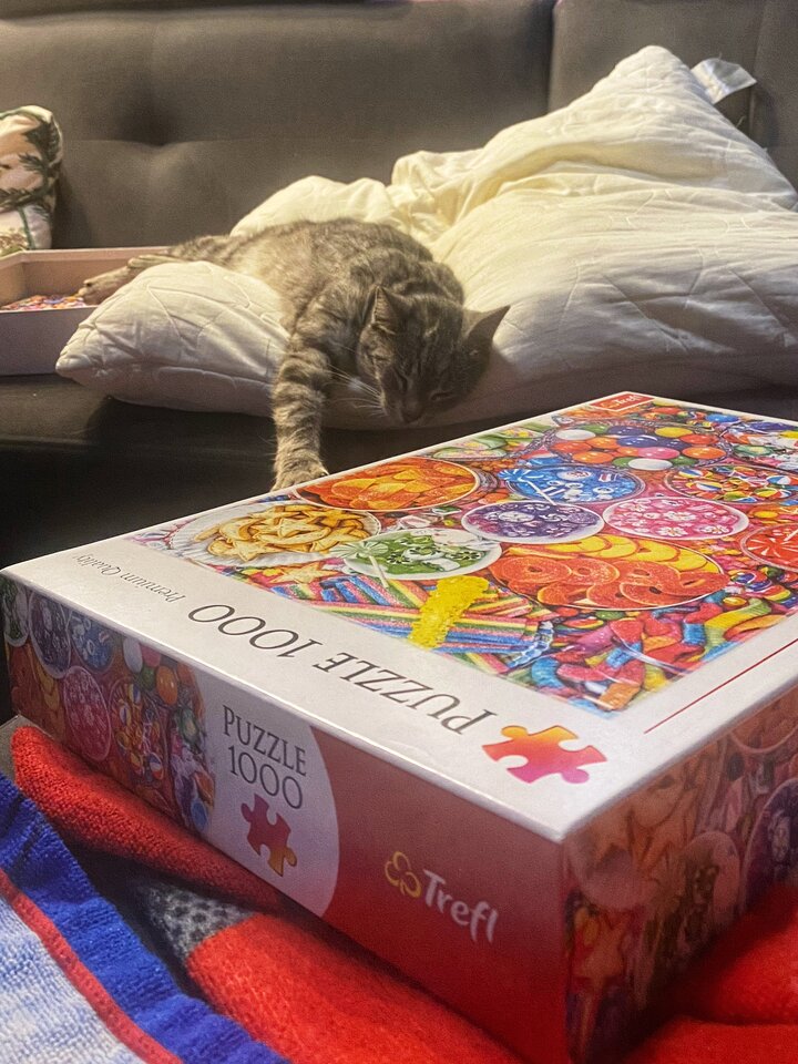 🫣🐈‍⬛ - serialowapara19782