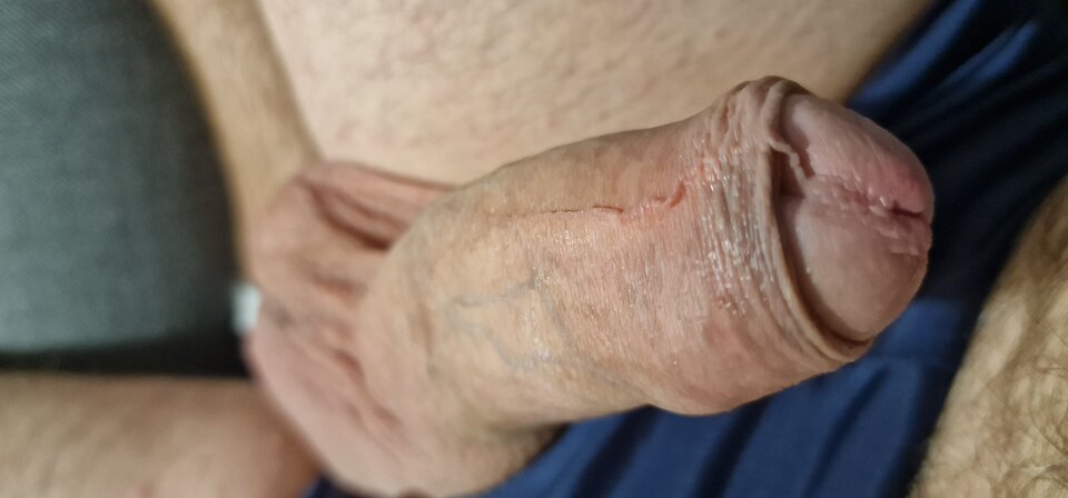 17262597446501479205402522257297.jpg - robin266