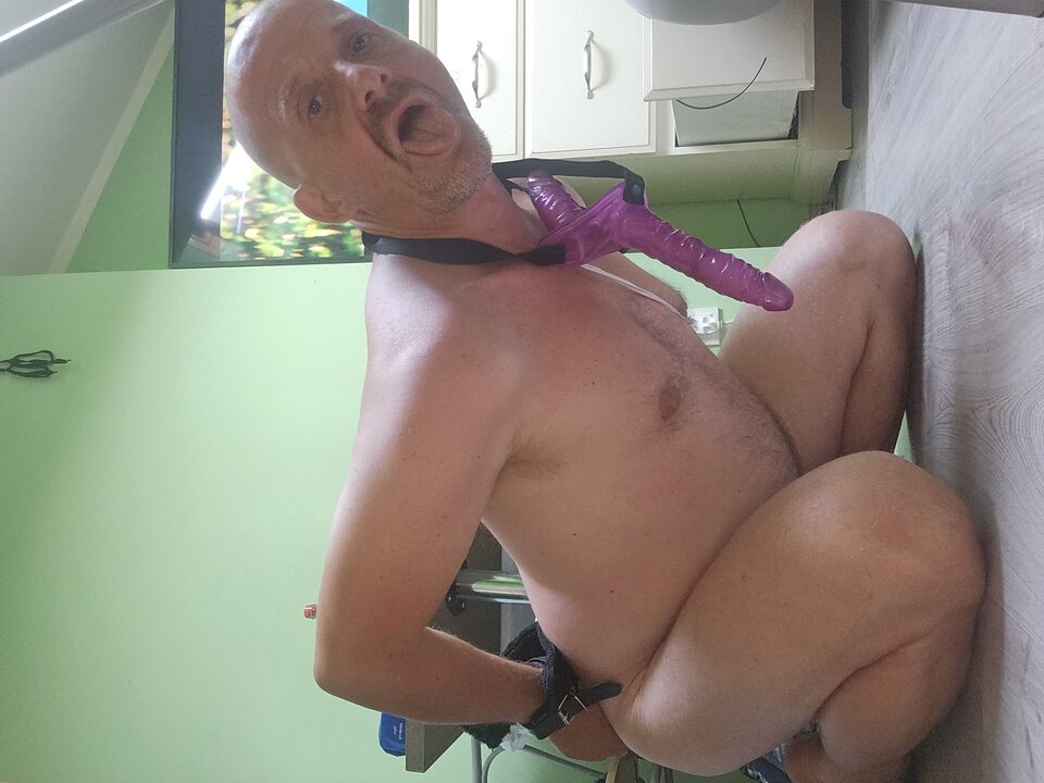 1000028463.jpg - TomekMisiek12345