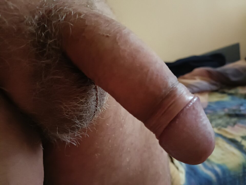 1726309302692554469129659375467.jpg - ardas1