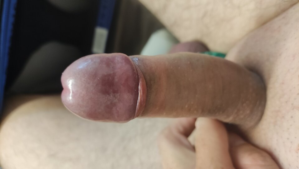 IMG_20240914_124910.jpg - Kriss7788