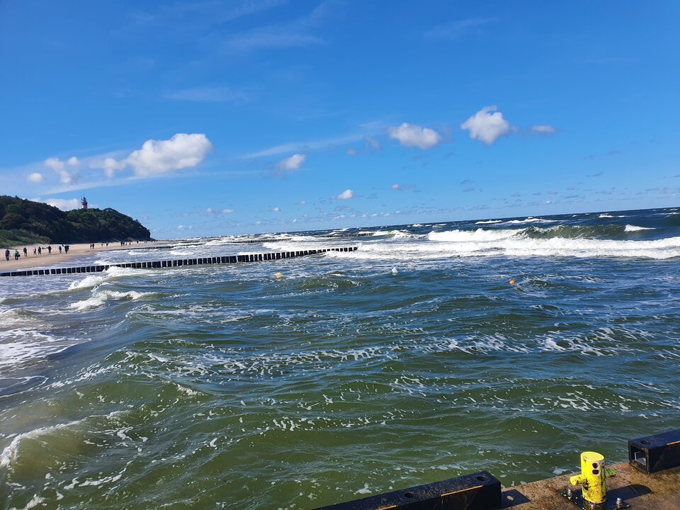 20240914_120854.jpg - Mature44youngbull