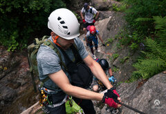 _MG_4768.JPG