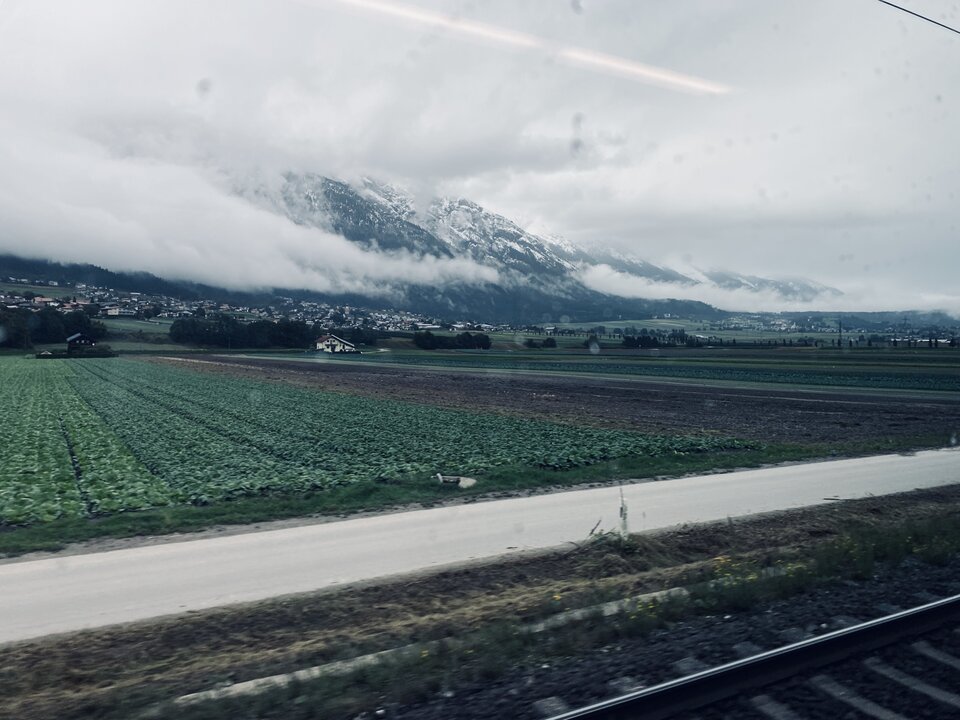 IMG_6613.jpeg - May_Day