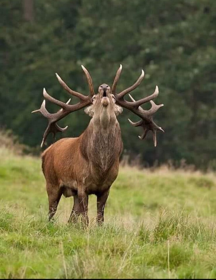 1000003728.jpg - reserva1