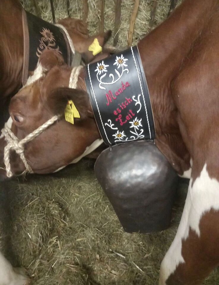 0d740bb8-6e6a-47c8-bd00-c510068bab11.jpeg - May_Day