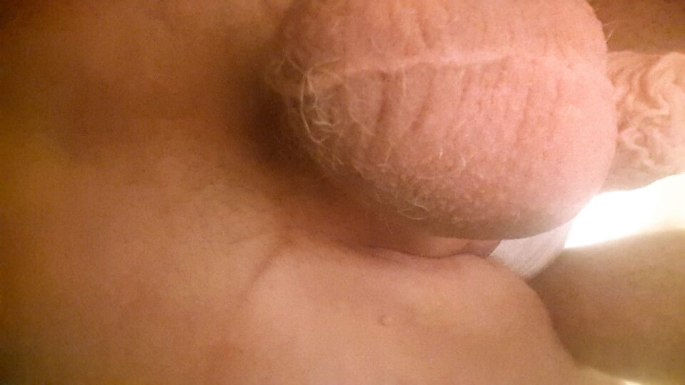 20240915_081631.jpg - robekBi