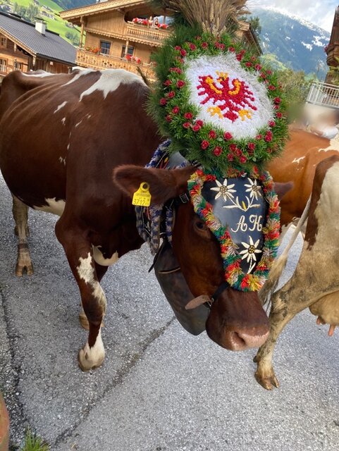 IMG_6666.jpeg - May_Day