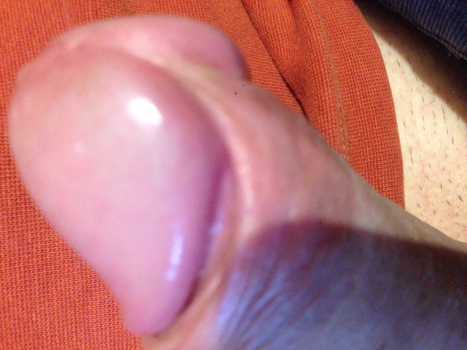 IMG_3259.jpeg - WydziaranyGorzow