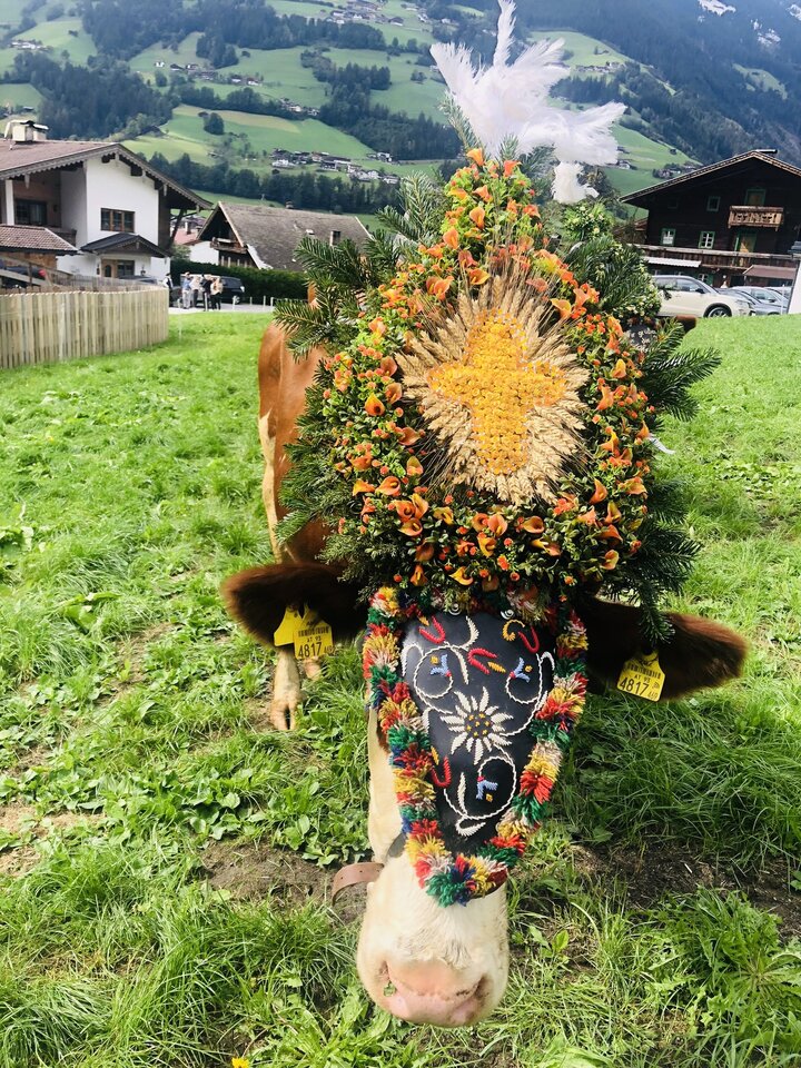 82eb1ac7-6968-4d8b-ae34-a6ca1a8fe169.jpeg - May_Day