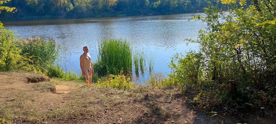 IMG_20240904_161656.jpg - tygrysekl