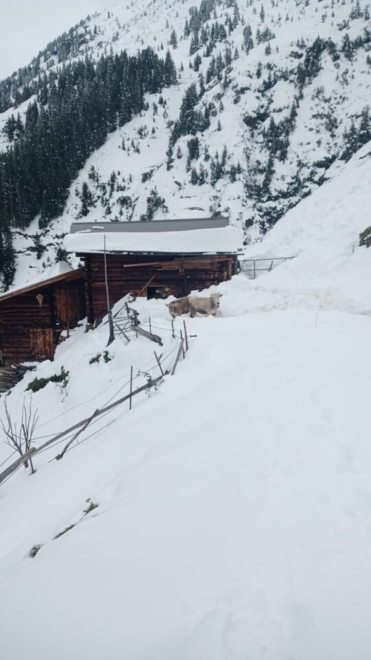 50233861-1204-4fb7-ab44-8bd06f3e4543.jpeg - May_Day