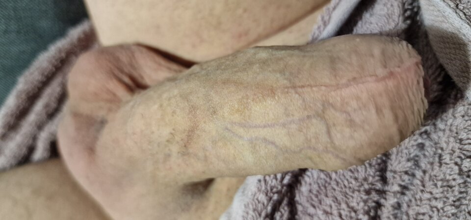 17264266570913655217021475032649.jpg - robin266