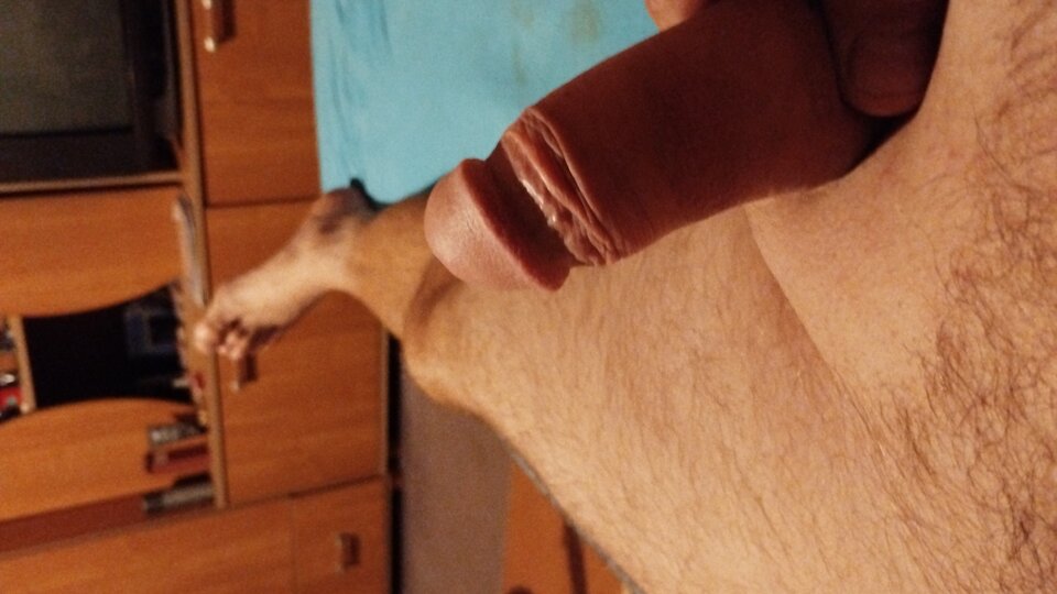 17264290078545790736610920960604.jpg - Marcin19781223