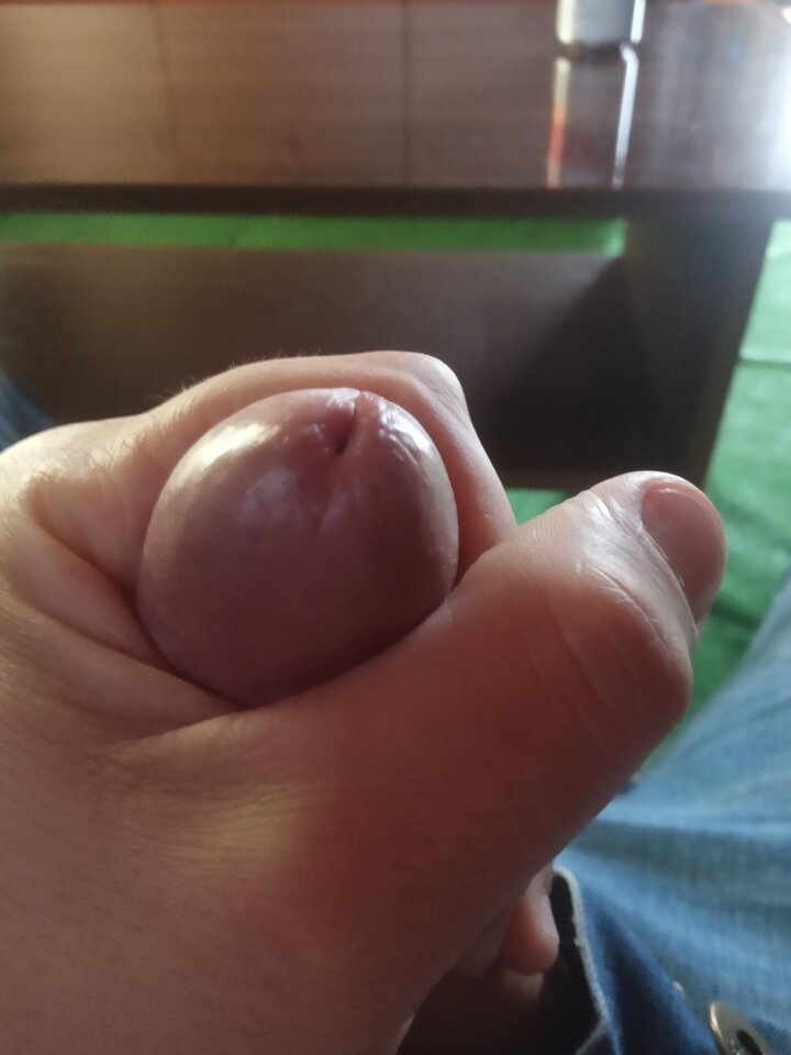 IMG_20230419_123852.jpg - TransHunter42