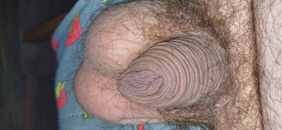 1000001905.jpg - PuszystyLubuskie