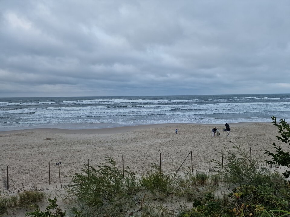 20240915_172447.jpg - saper159