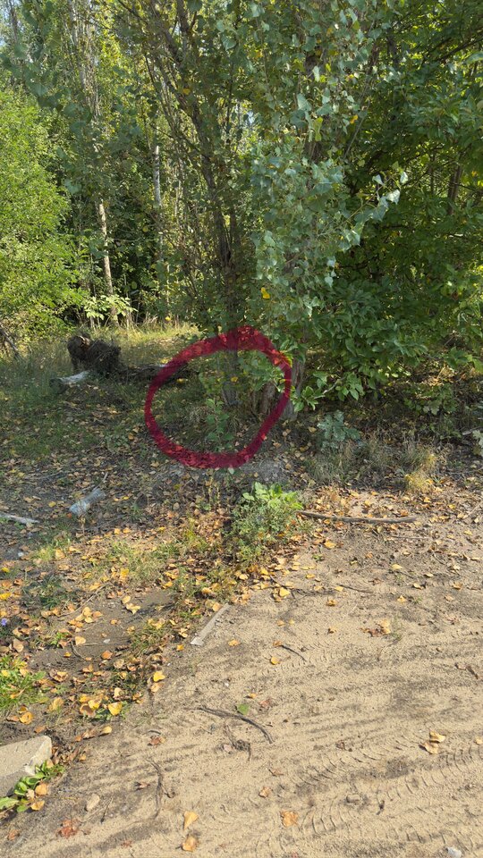 IMG_0952.jpeg - adaponczoszka25