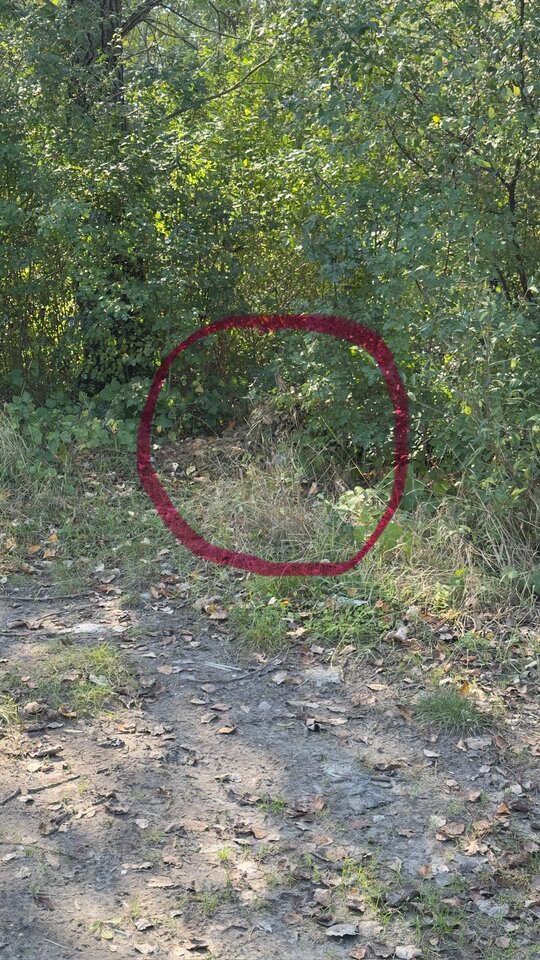 IMG_0953.jpeg - adaponczoszka25