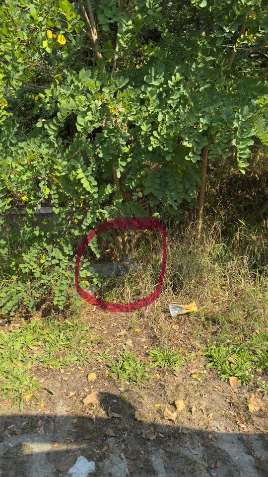 IMG_0954.jpeg - adaponczoszka25