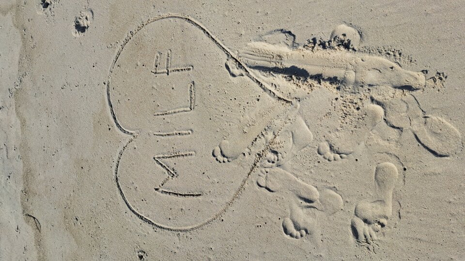 1000009687.jpg - Pomorski13